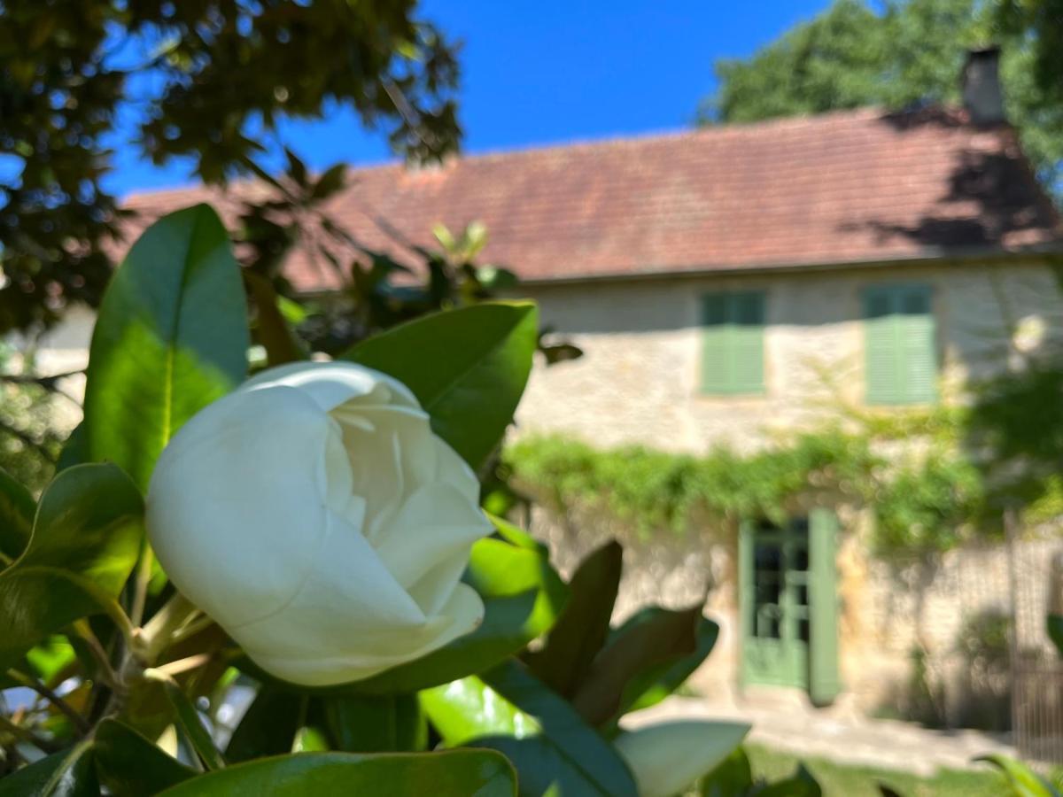 Le Clos Chalmon Chambre D'Hote 몽티냑 외부 사진